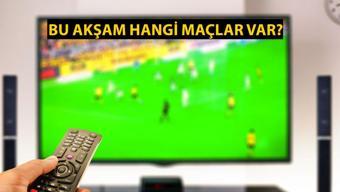 TRT 1 sinyal yok sorunu ve çözümü: TRT 1 sinyal yok hatası nasıl düzeltilir? TRT 1 Frekans ayar adımları - görsel 2