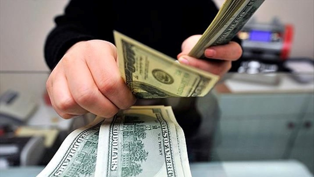 Türkiye Bankalar Birliği: Bankalar döviz kabul etmeye başladı - Son Dakika Türkiye Haberleri