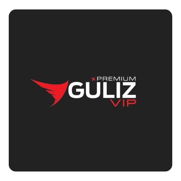 Güliz Vip transfer logosu
