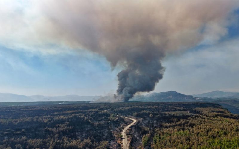 Antalya ve Adana'daki Orman Yangınları Kontrol Altında Ama Risk Devam Ediyor
